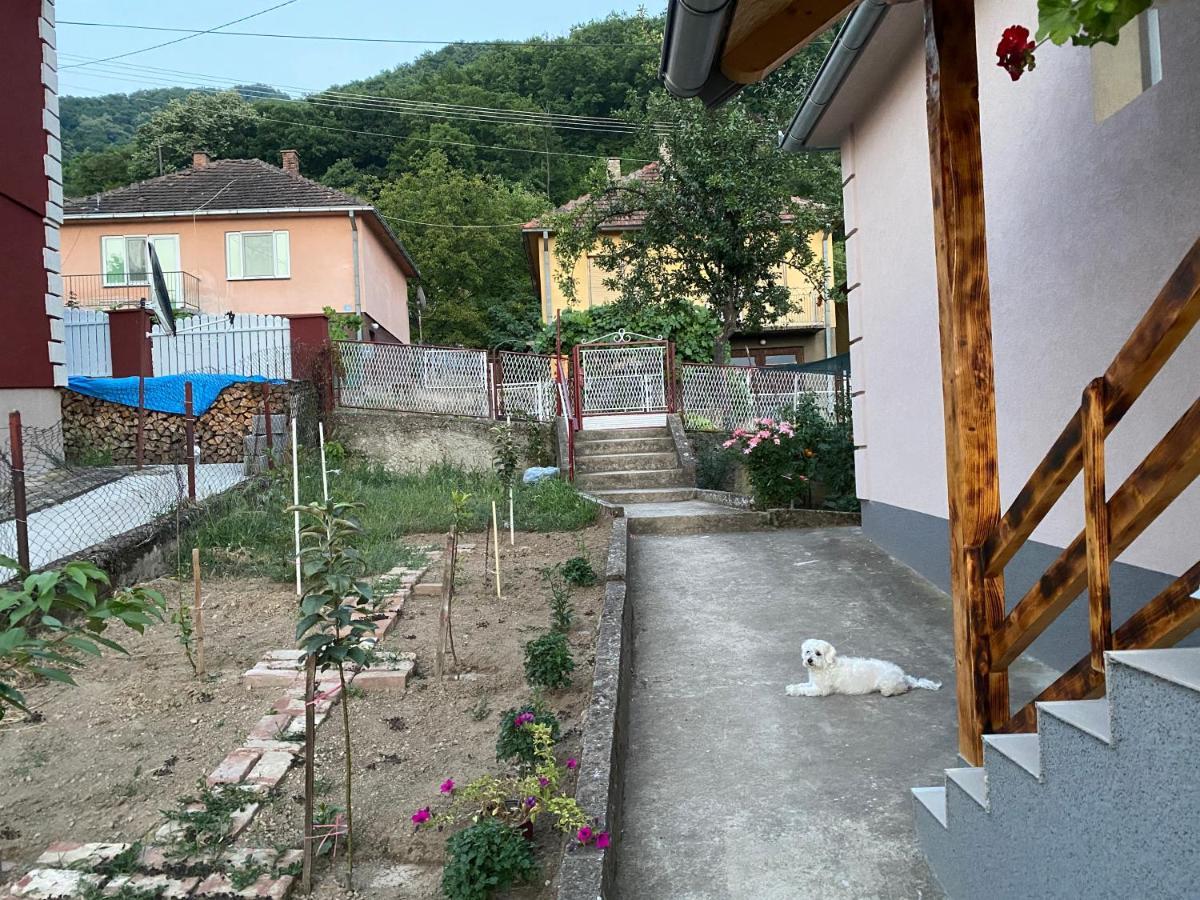 Smestaj Zeka Tekija Tekija  Buitenkant foto