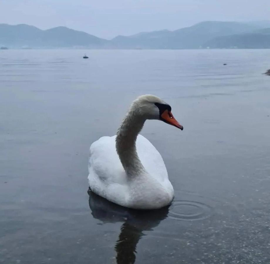 Smestaj Zeka Tekija Tekija  Buitenkant foto